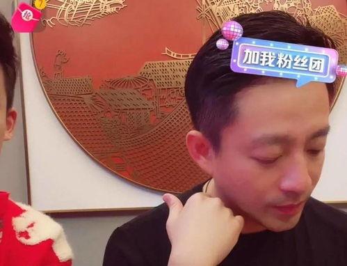 二哈吃瓜娱乐圈小说,娱乐圈的欢乐盛宴