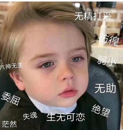 微信吃瓜表情包是什么意思呢,网络社交中的趣味解读