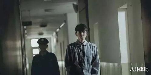 娱乐圈吃瓜阴谋论,吃瓜背后的阴谋与真相