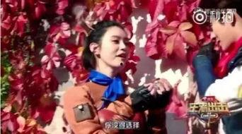 娱乐影综吃瓜酱,揭秘娱乐圈幕后故事