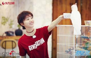 王源吃瓜娱乐圈,娱乐圈吃瓜背后的故事